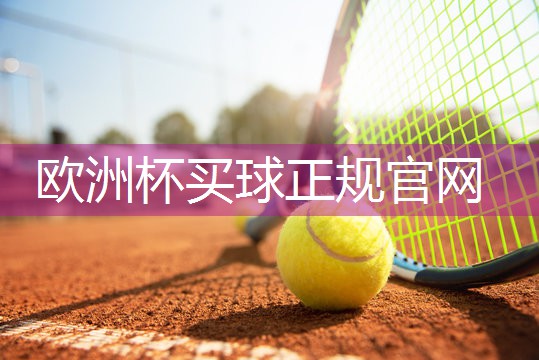 星空XINGKONG：硅pu球场价格