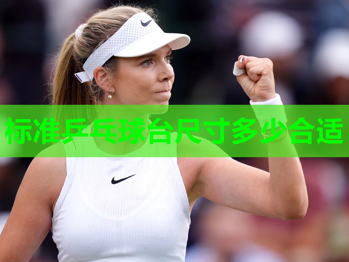 标准乒乓球台尺寸多少合适