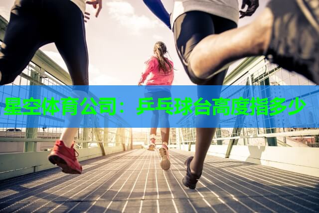 星空体育公司：乒乓球台高度指多少