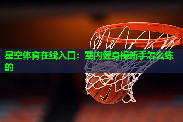 星空体育在线入口：室内健身操新手怎么练的