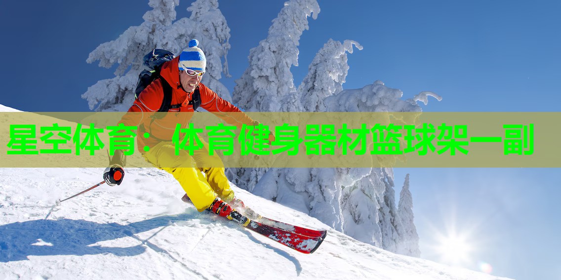 星空体育：体育健身器材篮球架一副