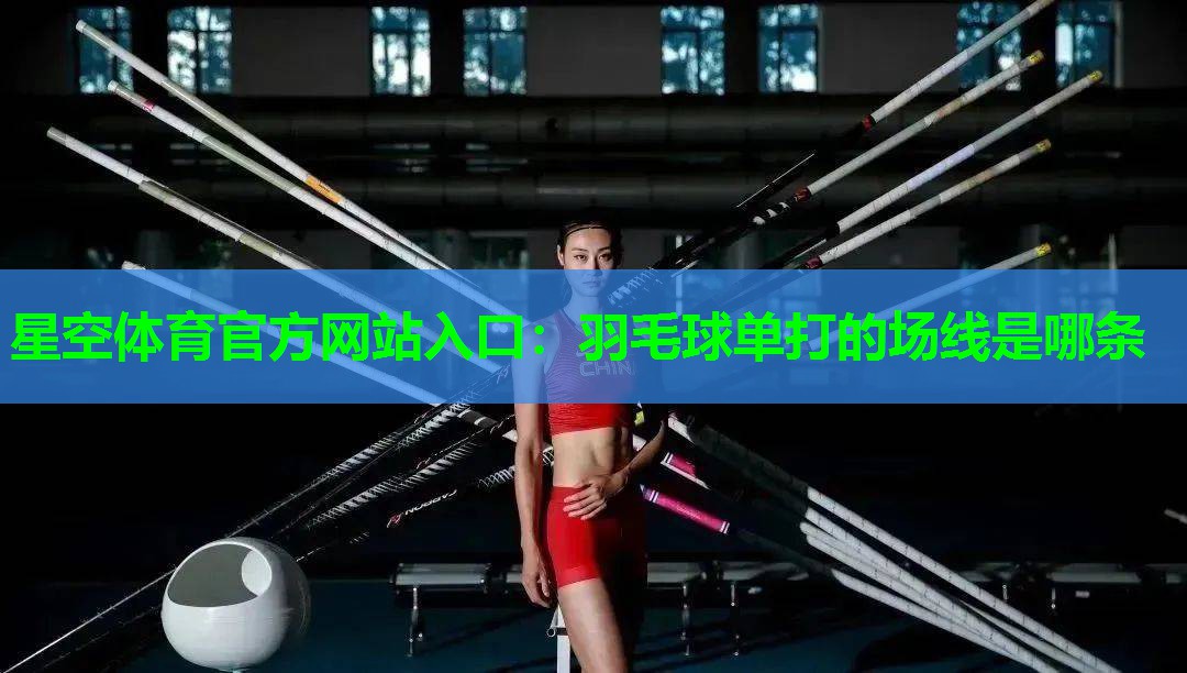 星空体育官方网站入口：羽毛球单打的场线是哪条