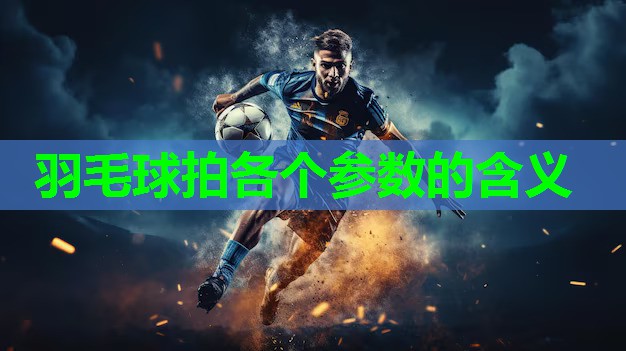 羽毛球拍各个参数的含义