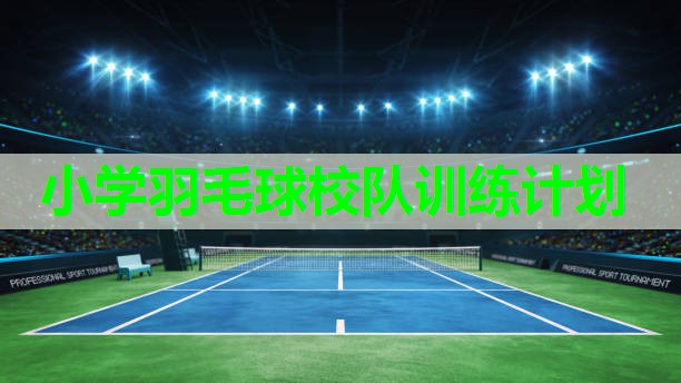 小学羽毛球校队训练计划