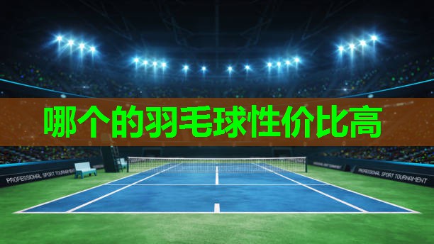 <strong>哪个的羽毛球性价比高</strong>