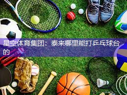 泰来哪里能打乒乓球台的