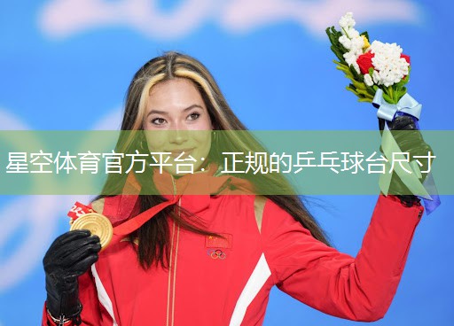正规的乒乓球台尺寸