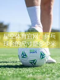 乒乓球台的尺寸是多少米