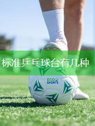 标准乒乓球台有几种