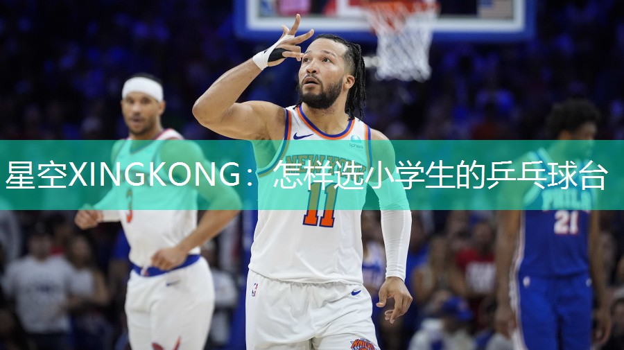怎样选小学生的乒乓球台