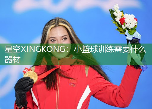 小篮球训练需要什么器材