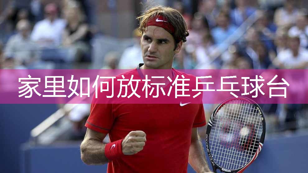 家里如何放标准乒乓球台