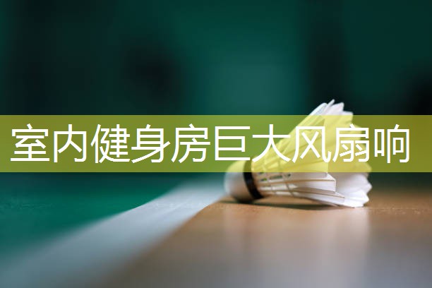 室内健身房巨大风扇响