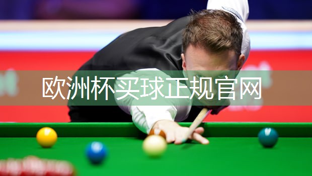 为您推荐：高端室外体育用品健身器材，助您燃烧卡路里！
