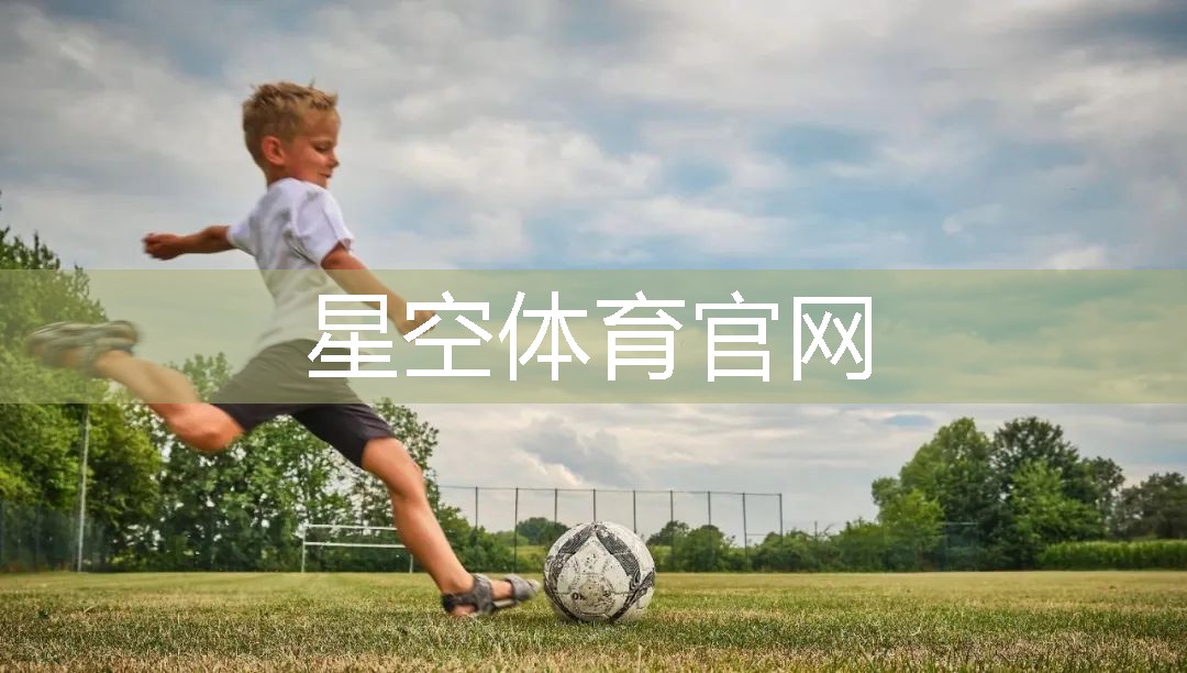 背部 健身器材