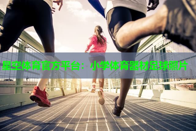 小学体育器材足球照片