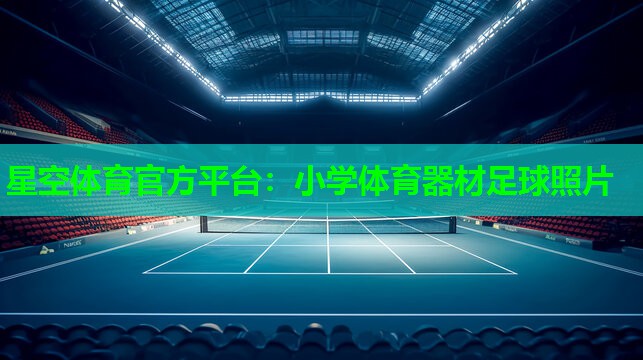 小学体育器材足球照片