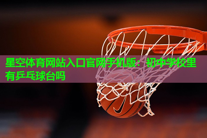 初中学校里有乒乓球台吗