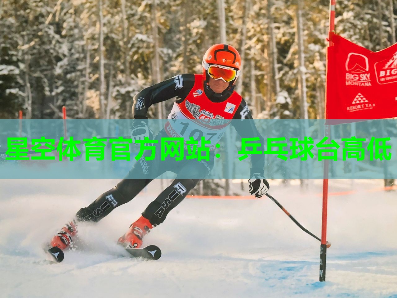 乒乓球台高低