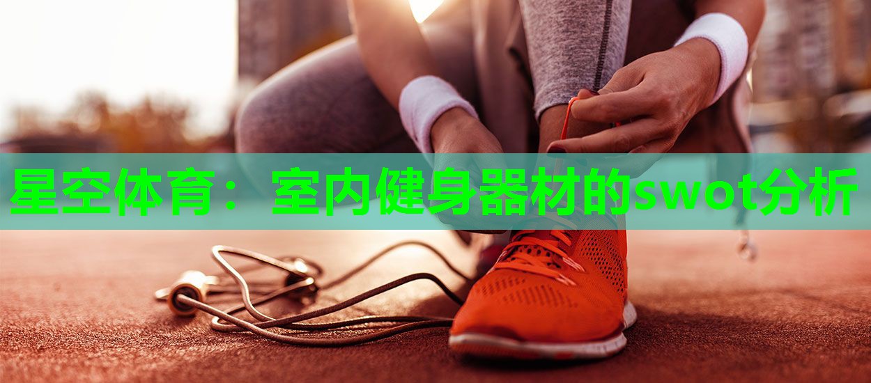 室内健身器材的swot分析