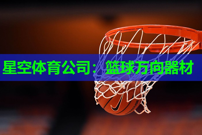 篮球万向器材