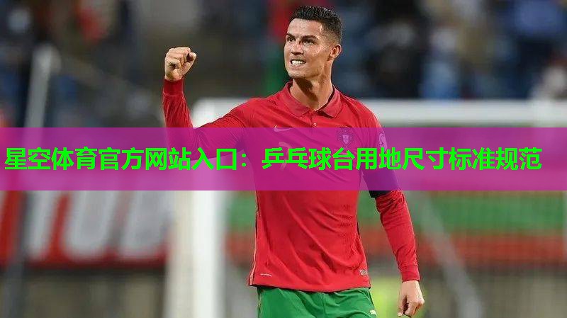 乒乓球台用地尺寸标准规范