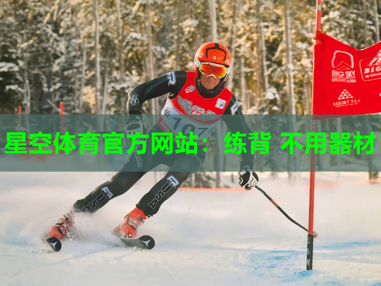 练背 不用器材