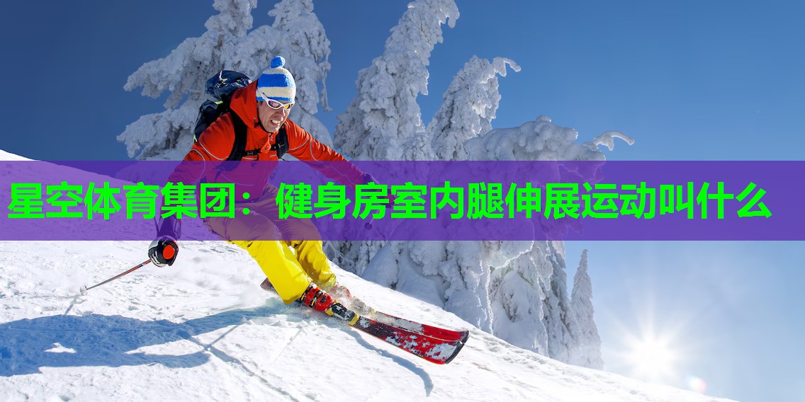 健身房室内腿伸展运动叫什么