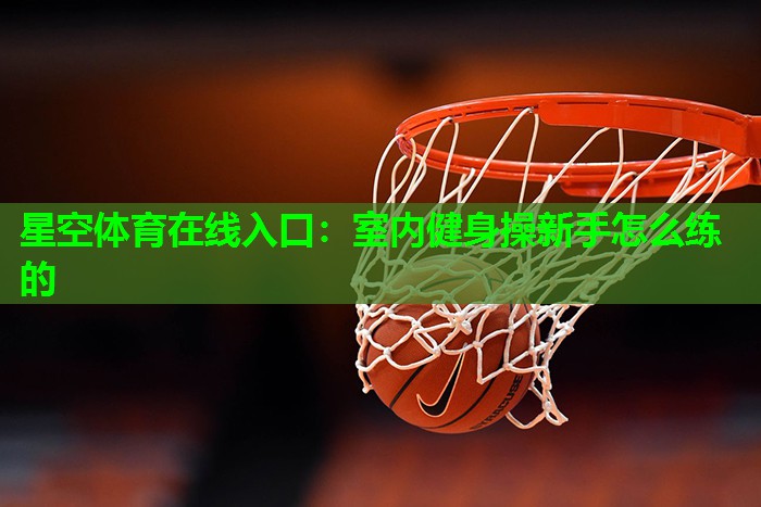 室内健身操新手怎么练的