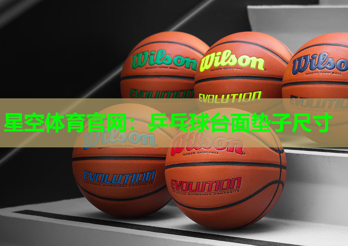 乒乓球台面垫子尺寸