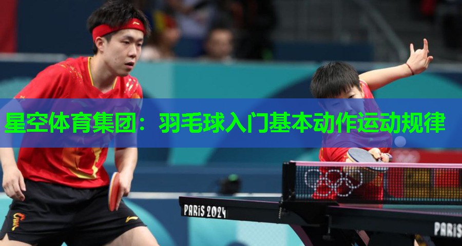 羽毛球入门基本动作运动规律