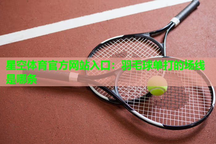 羽毛球单打的场线是哪条
