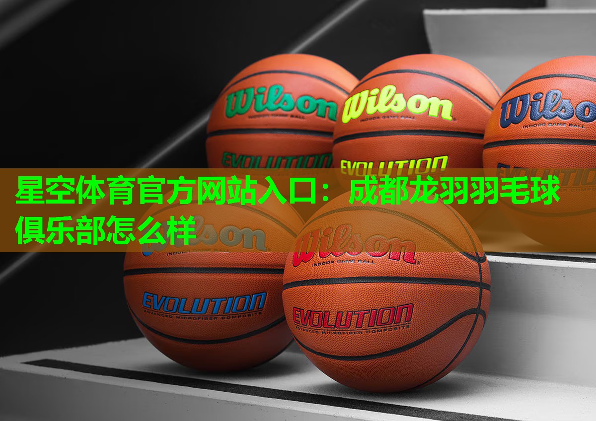 成都龙羽羽毛球俱乐部怎么样