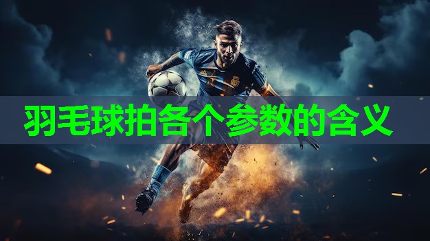 羽毛球拍各个参数的含义