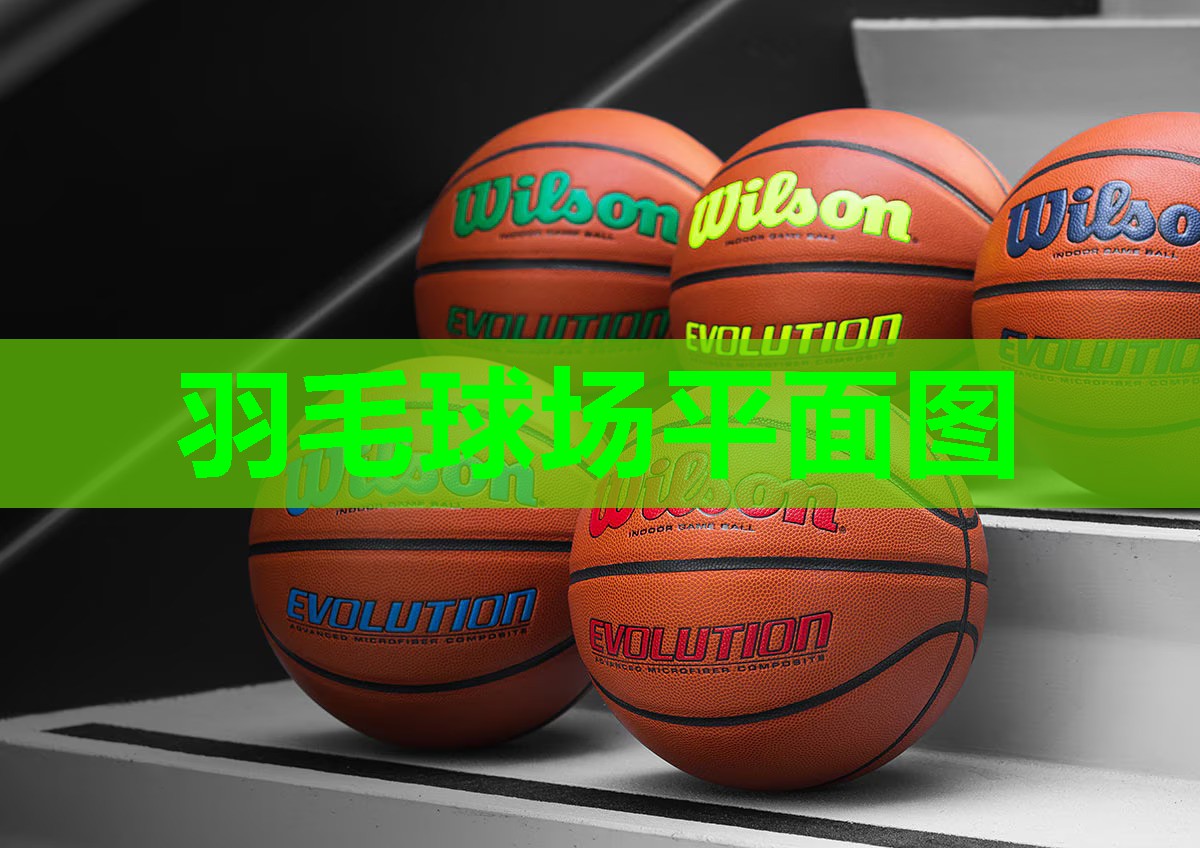 羽毛球场平面图