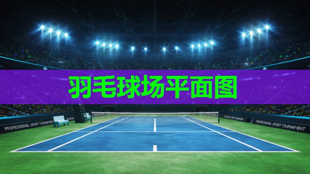 羽毛球场平面图