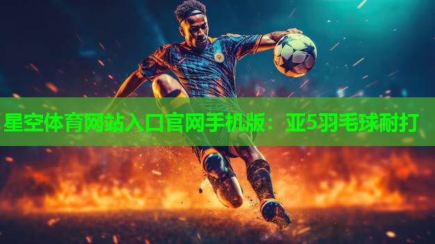 亚5羽毛球耐打