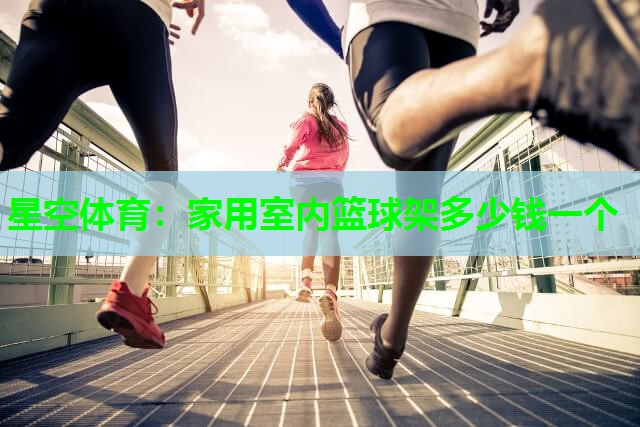 家用室内篮球架多少钱一个