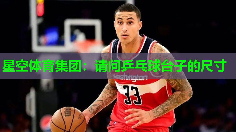请问乒乓球台子的尺寸