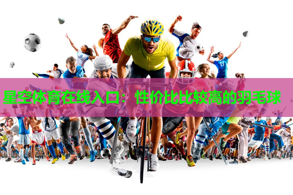 性价比比较高的羽毛球