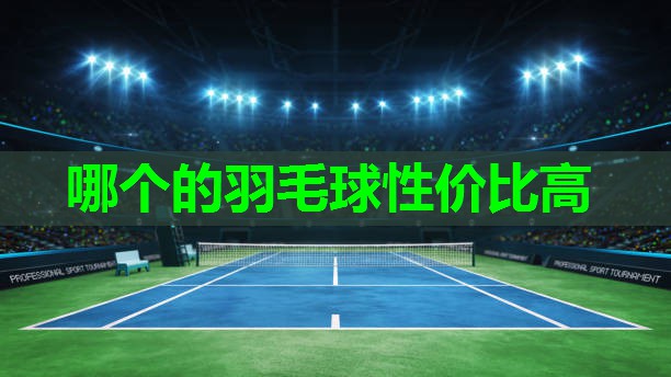 哪个的羽毛球性价比高